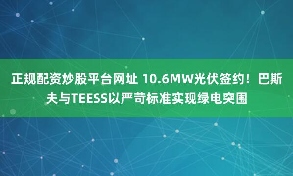 正规配资炒股平台网址 10.6MW光伏签约！巴斯夫与TEESS以严苛标准实现绿电突围