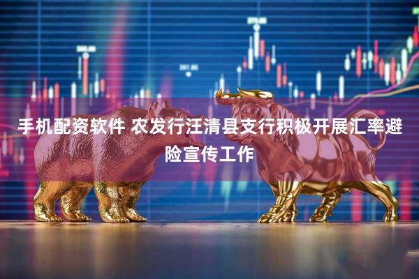 手机配资软件 农发行汪清县支行积极开展汇率避险宣传工作